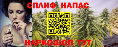 твердый Бийск