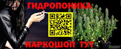 дурь Берёзовский