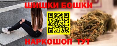 твердый Бийск
