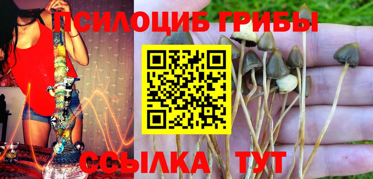 Галлюциногенные грибы GOLDEN TEACHER  Вход с VPN  Избербаш 