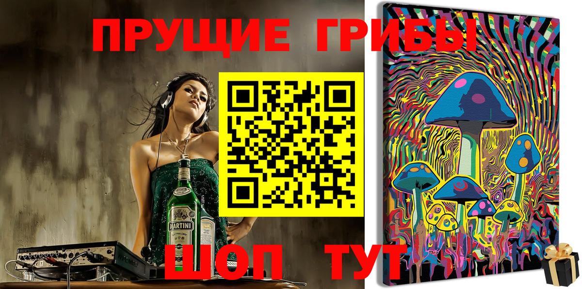 Псилоцибиновые грибы мицелий Избербаш